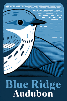 Blue Ridge Audubon